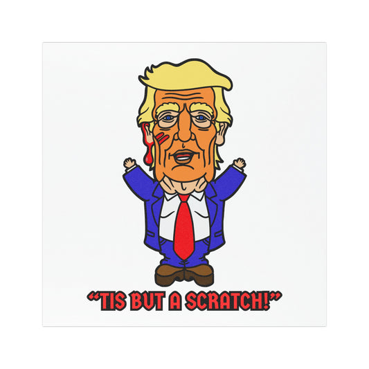 Tis But a Scratch! Car Magnets
