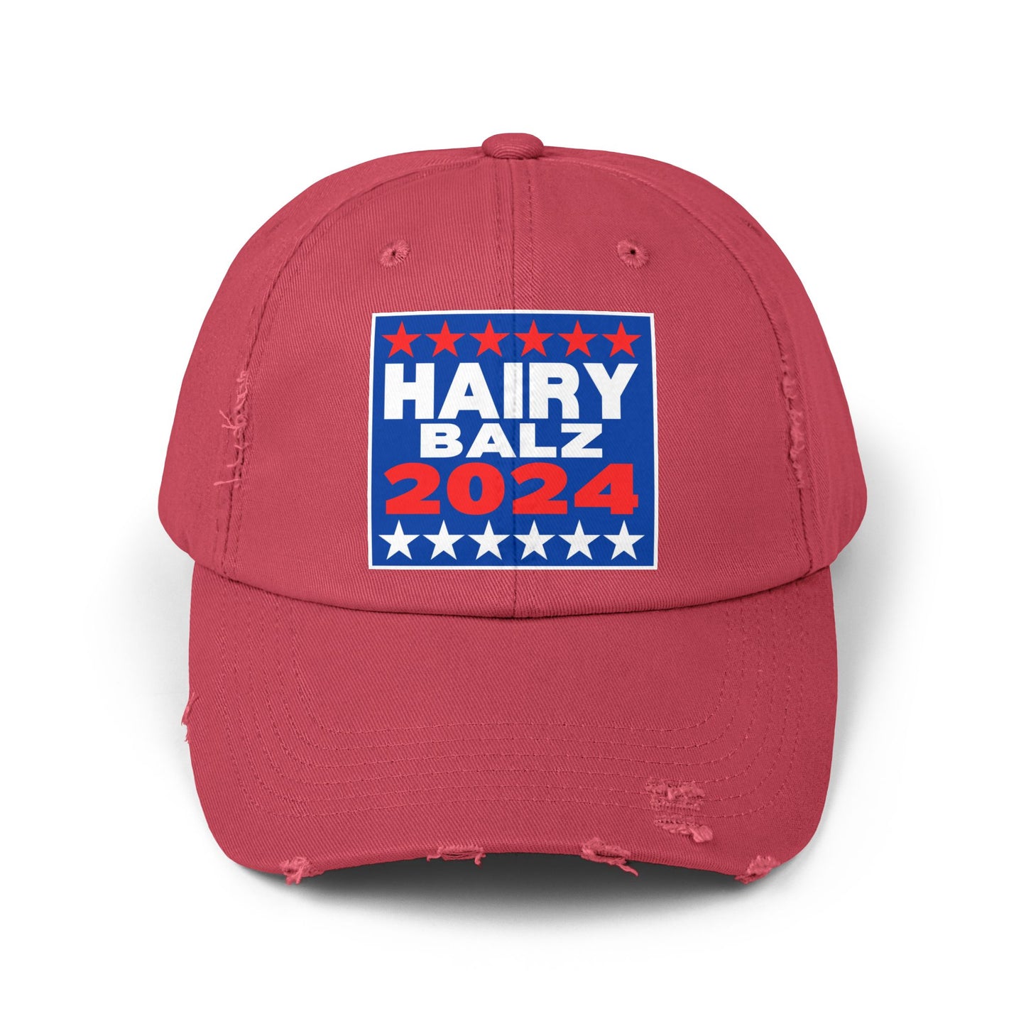 Hairy/Balz '24! Unisex Distressed Cap