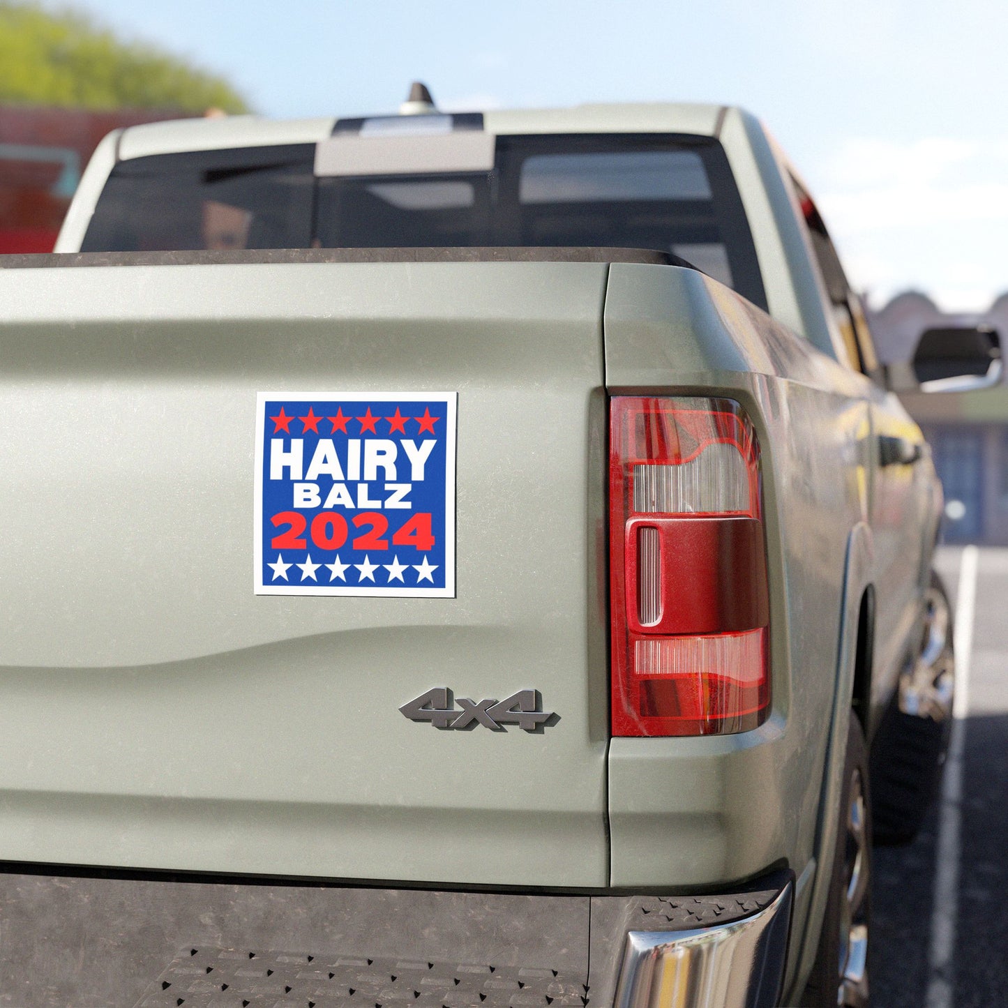Hairy/Balz '24! Car Magnets