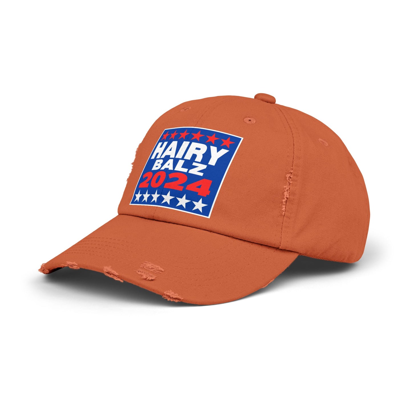 Hairy/Balz '24! Unisex Distressed Cap