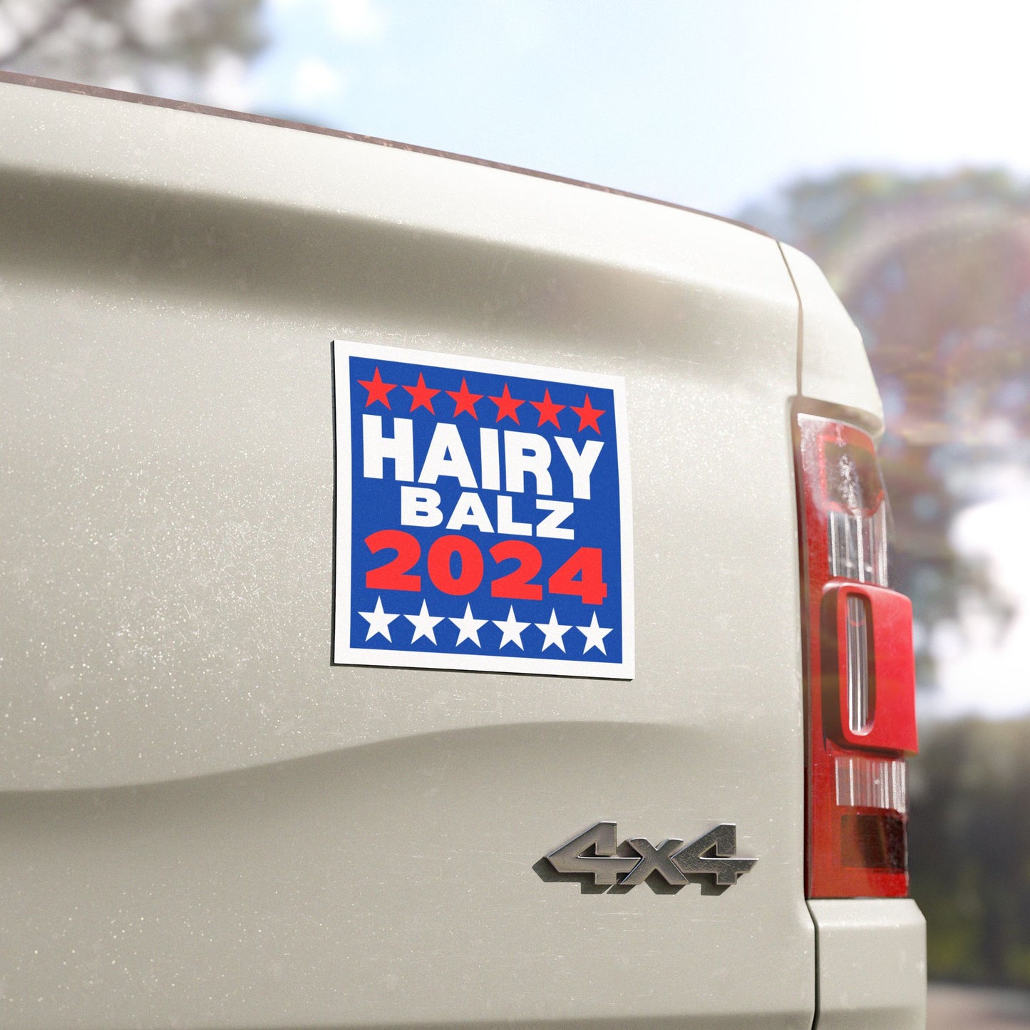 Hairy/Balz '24! Car Magnets