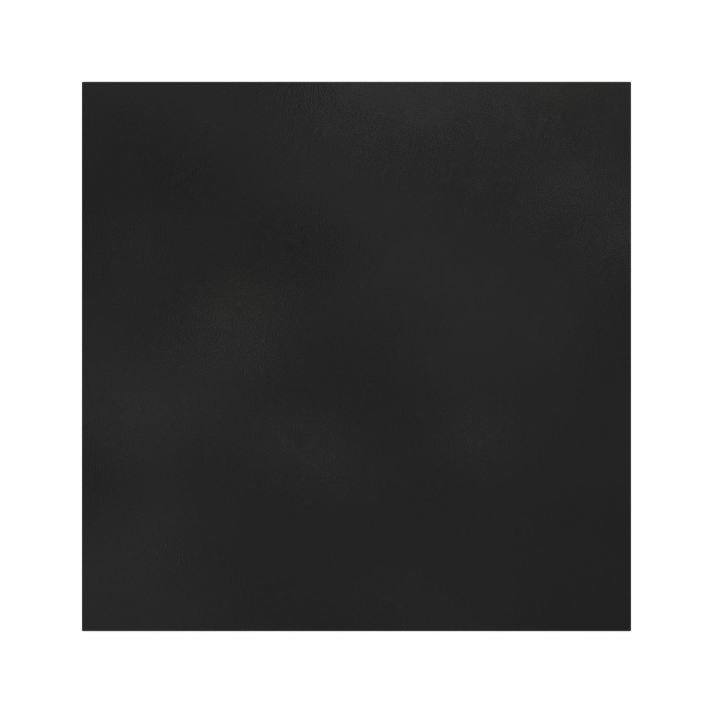 Tis But a Scratch! Car Magnets