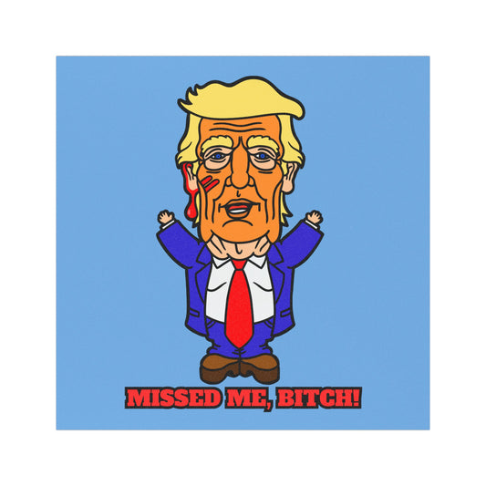 Missed Me, Bitch! Car Magnets