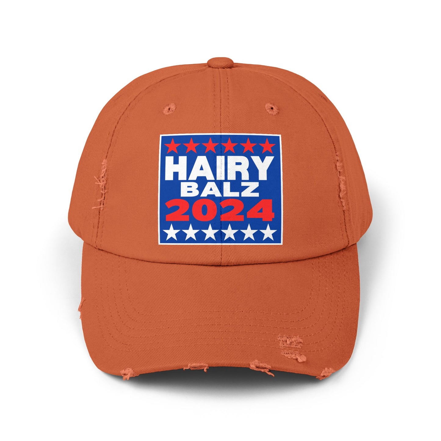 Hairy/Balz '24! Unisex Distressed Cap