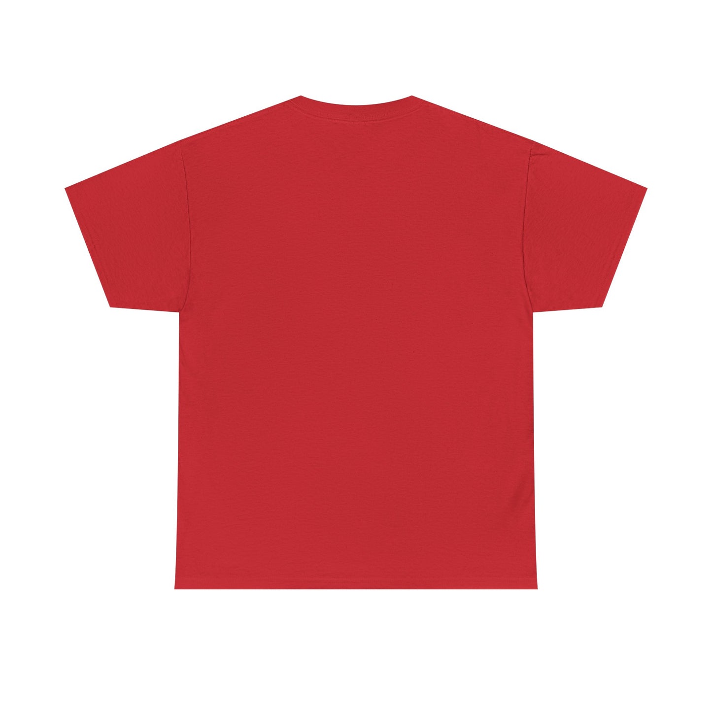 TG4T'25 Unisex Heavy Cotton Tee