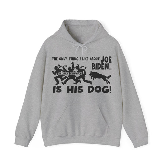 What I Like About Biden! Unisex Heavy Blend™ Hooded Sweatshirt