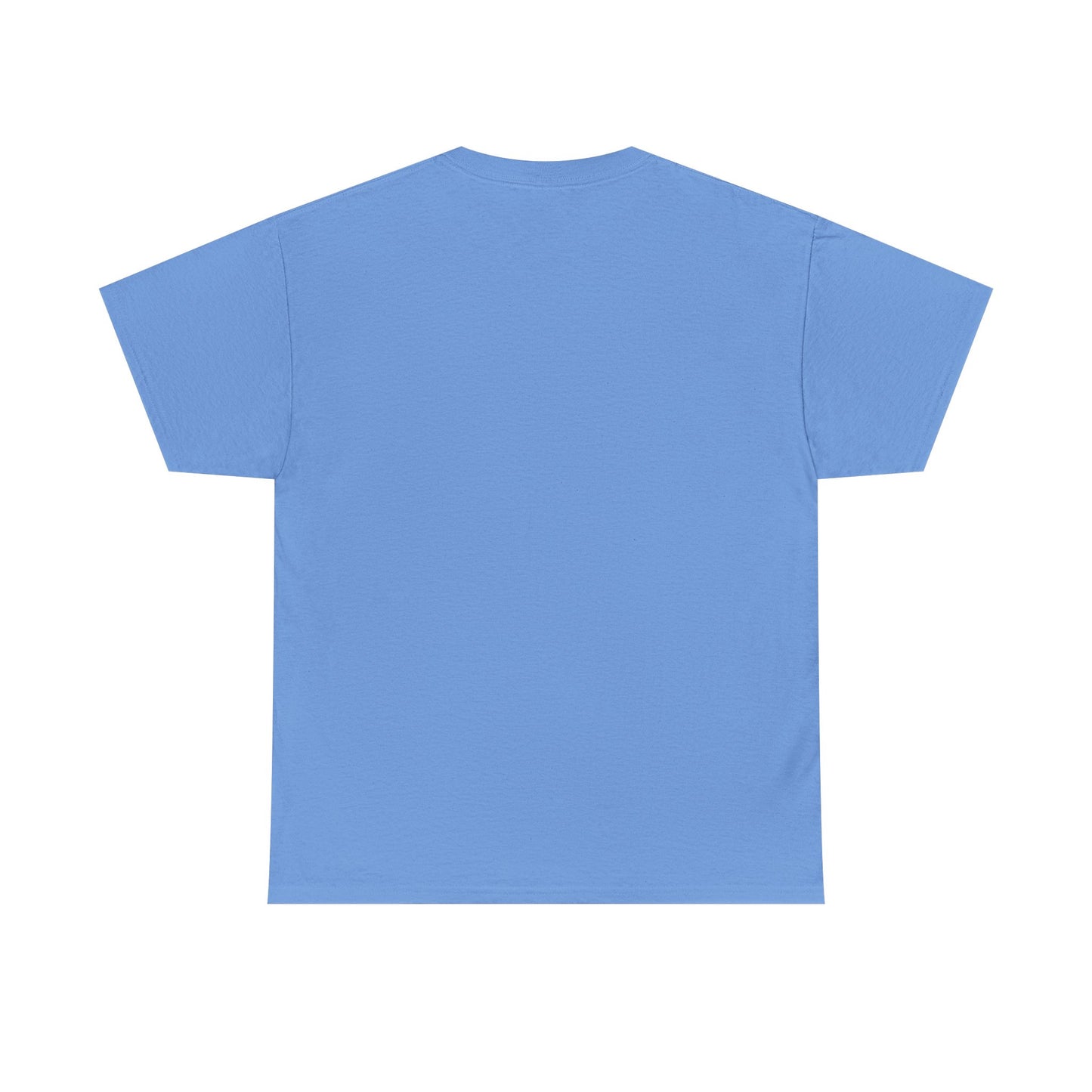 TG4T'25 Unisex Heavy Cotton Tee